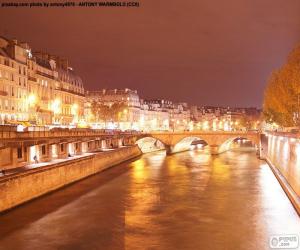 пазл Река Сена ночью, Париж